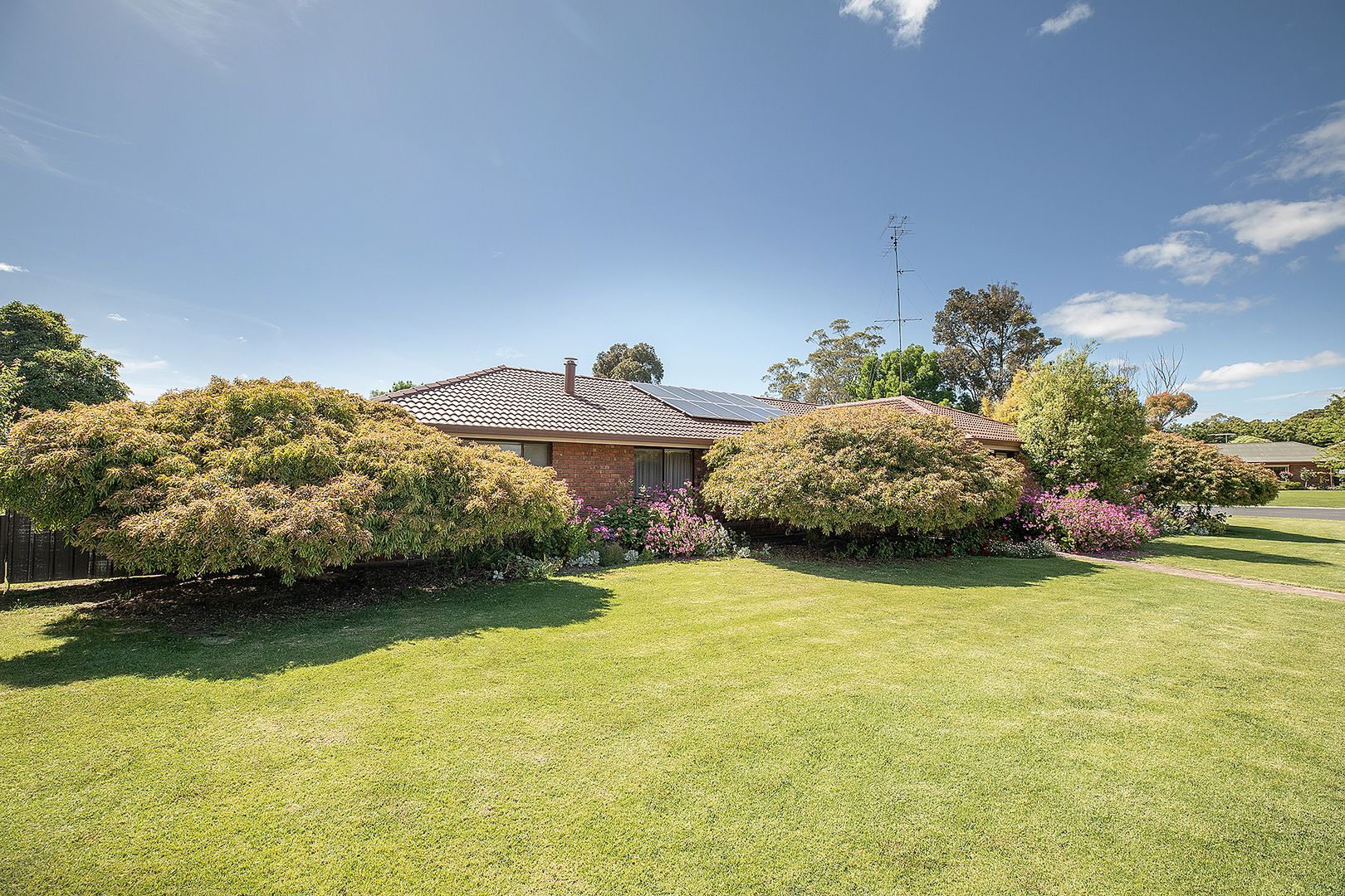 20 Dartmoor Close, Naracoorte SA 5271, Image 1