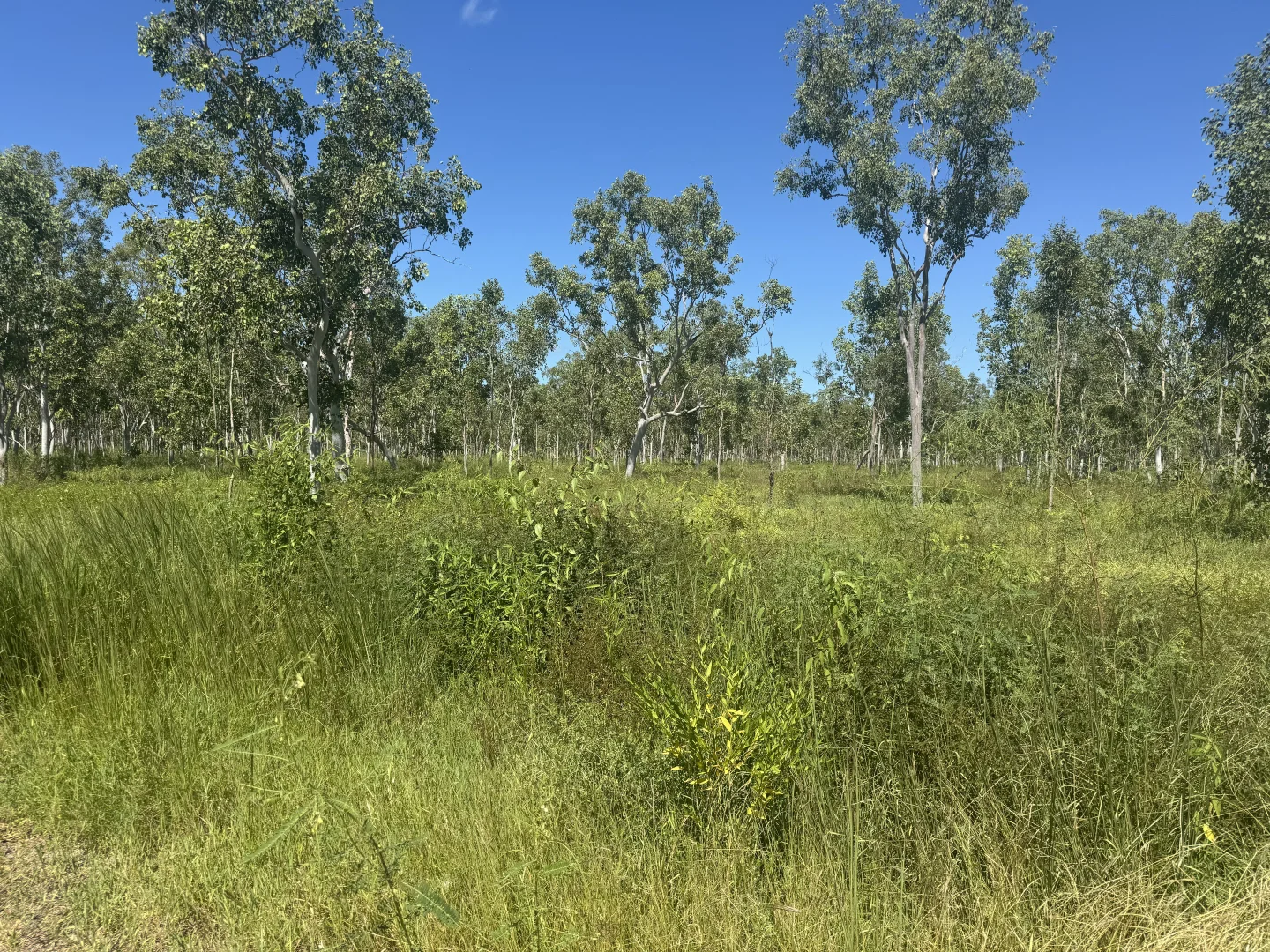 Image 8