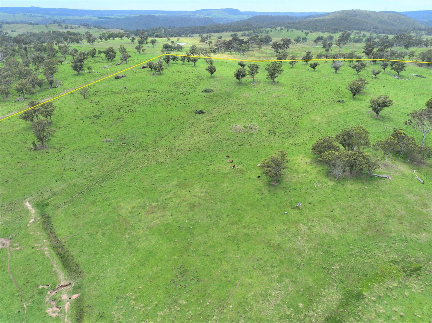 Lot 120 Losebys Road Big Hill/, Marulan NSW 2579 Farm for Sale 500,000