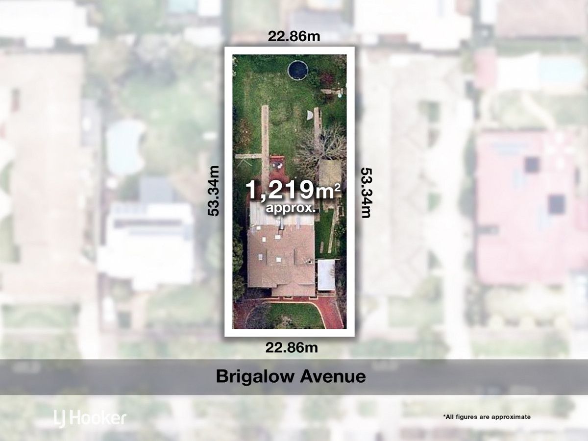 11 Brigalow Avenue, Kensington Gardens SA 5068, Image 0