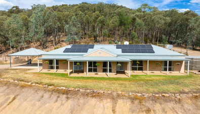 Picture of 304 Ferndale Road, WOOMARGAMA NSW 2644