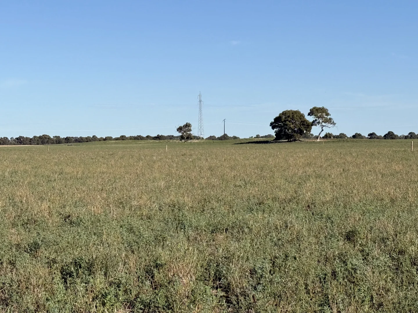 Image 15