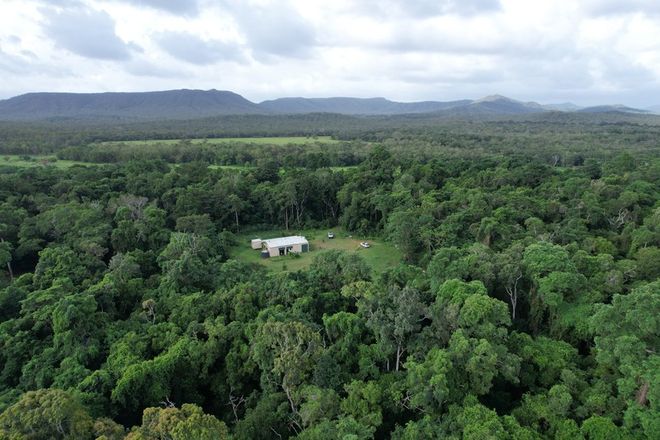 Picture of 2097 Endeavour Valley Rd, COOKTOWN QLD 4895