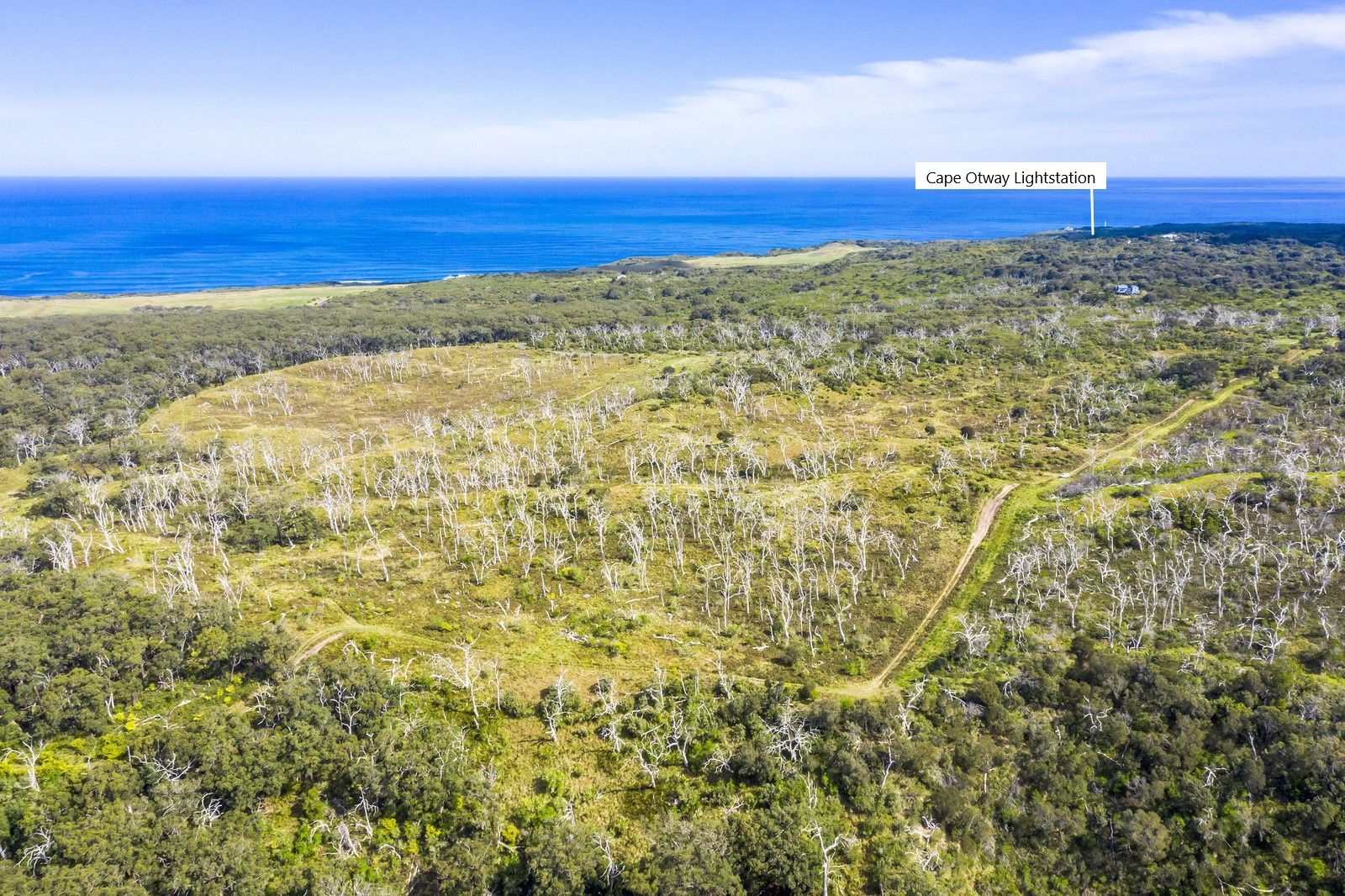 1010 Lighthouse Road, Cape Otway VIC 3233, Image 1