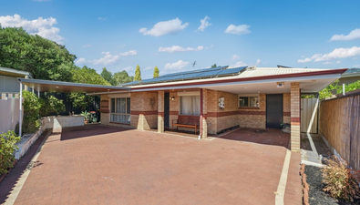 Picture of 248B Wanneroo Road, NOLLAMARA WA 6061