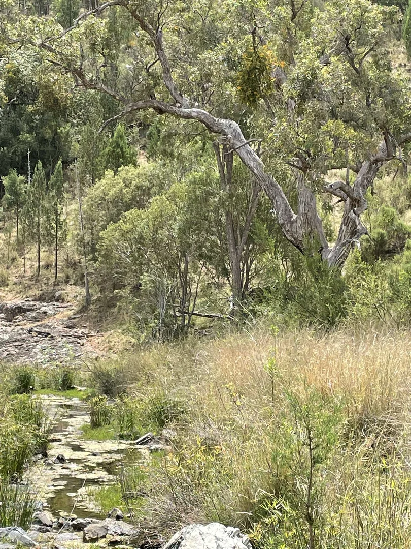 Image 24