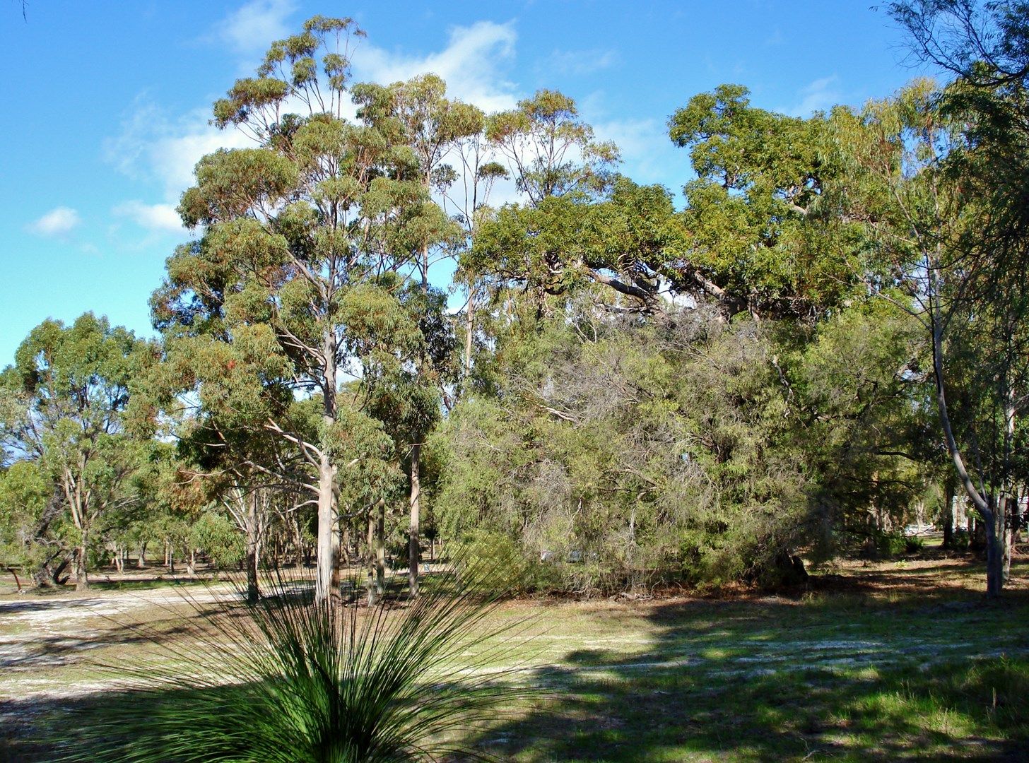 Lot 4 Cornerstone Way, QUEDJINUP WA 6281, Image 0