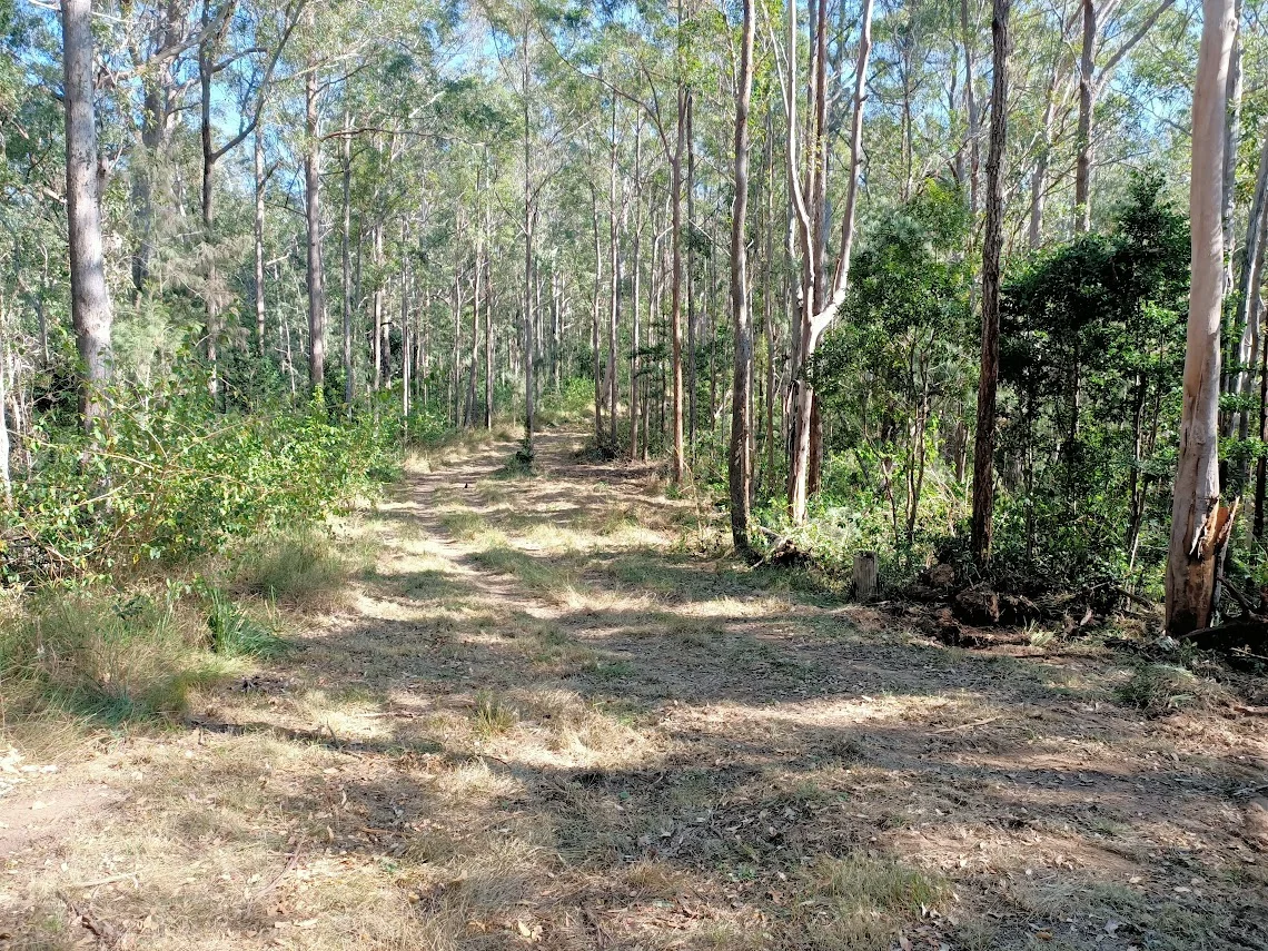 Image 13