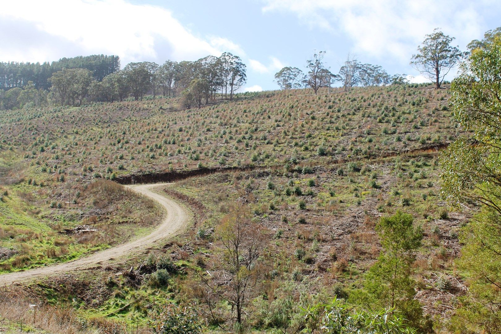 ' Rottenberry' 205 Carrajung Lower Road, Carrajung Lower VIC 3844, Image 0