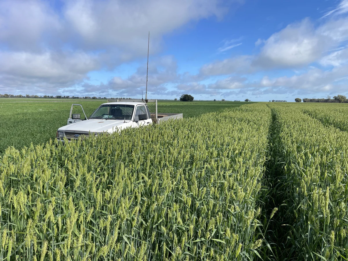 Additional image 4 of 'Trenayr' & 'Nanima' 2022 Terry Hie Hie Road, Moree NSW 2400