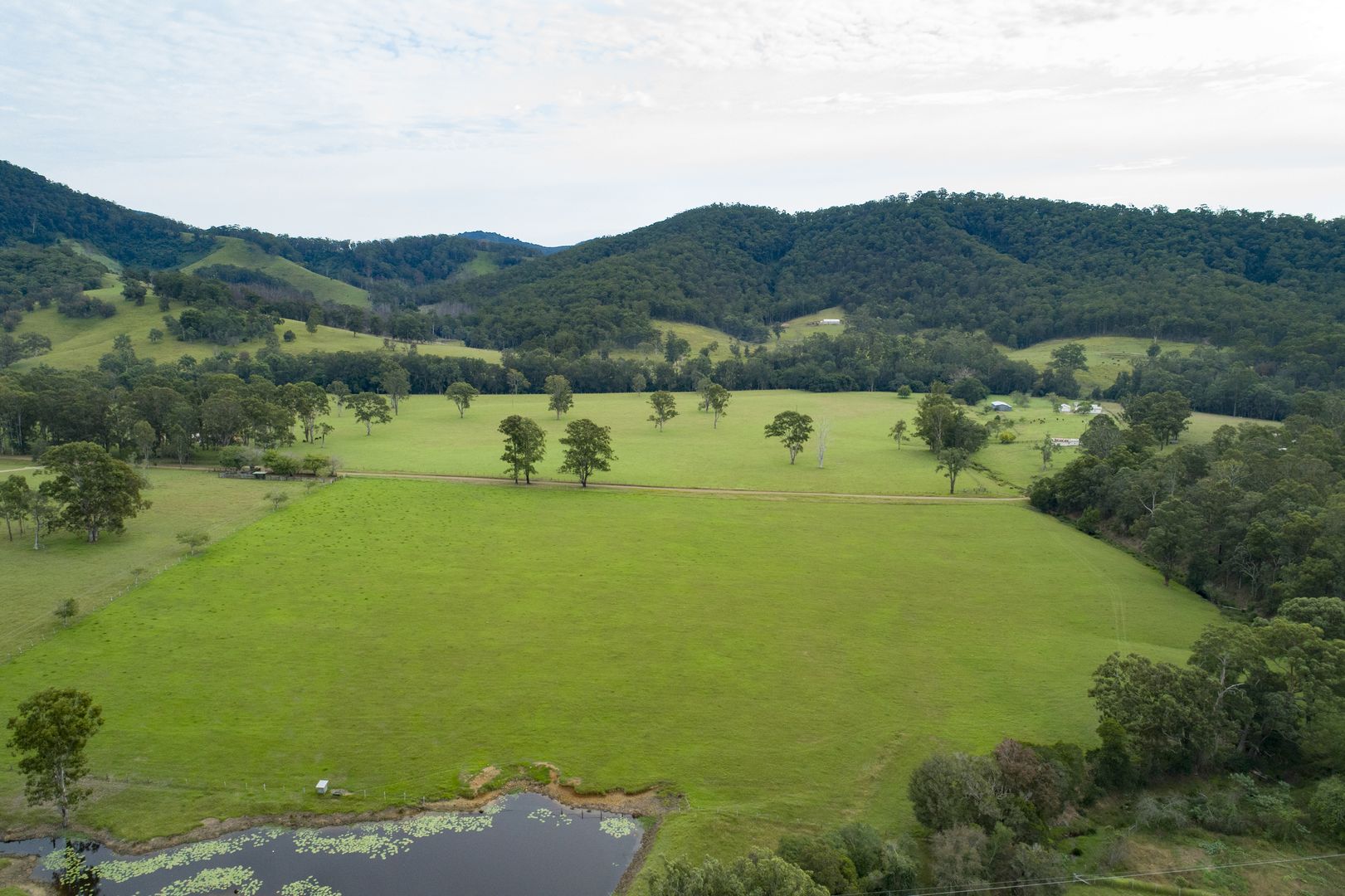 'Ferndale' 130 Mulligans Lane, Burrell Creek NSW 2429, Image 2