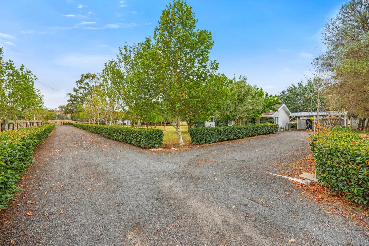 Additional image 5 of 164 Upper Dartbrook Road, Scone NSW 2337