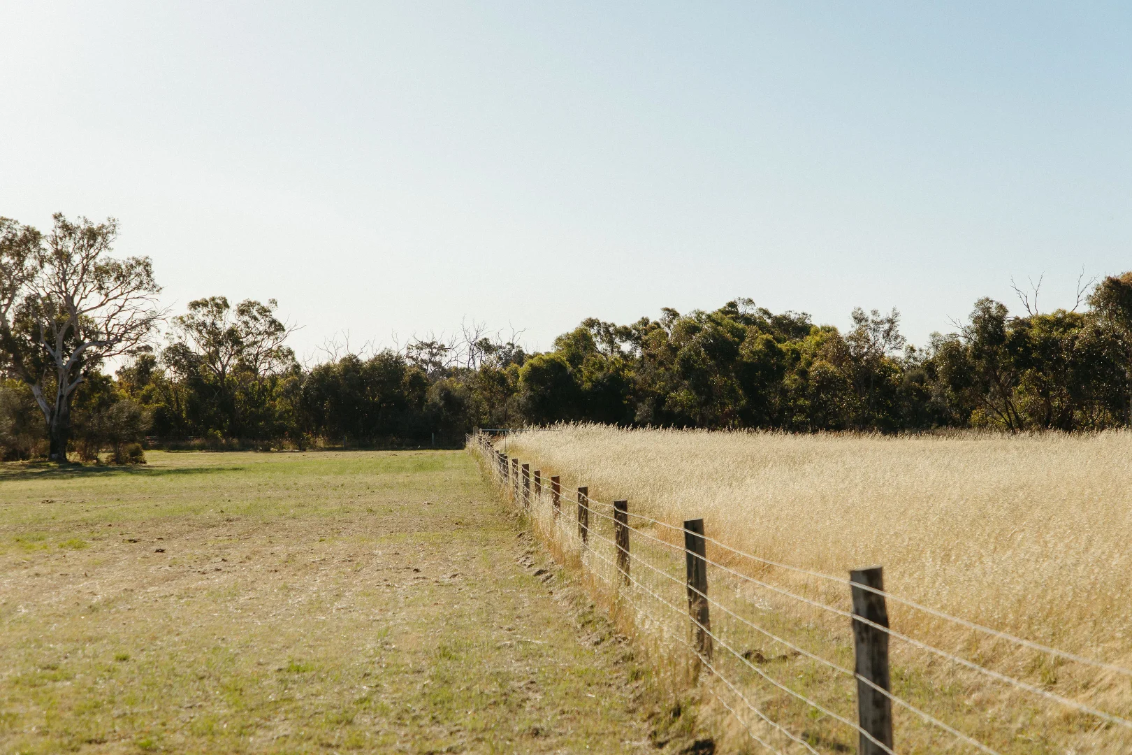 Additional image 22 of 293 Gilbert Siding Road, Finniss SA 5255