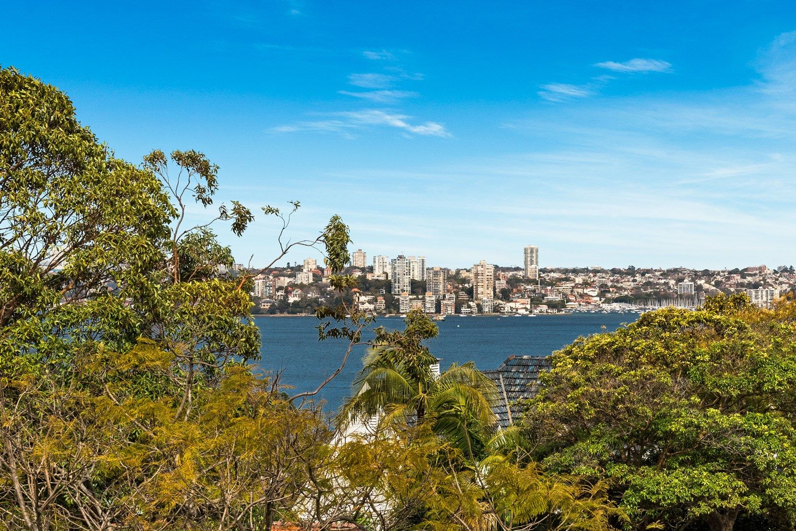 3/74 Raglan Street, Mosman NSW 2088, Image 0