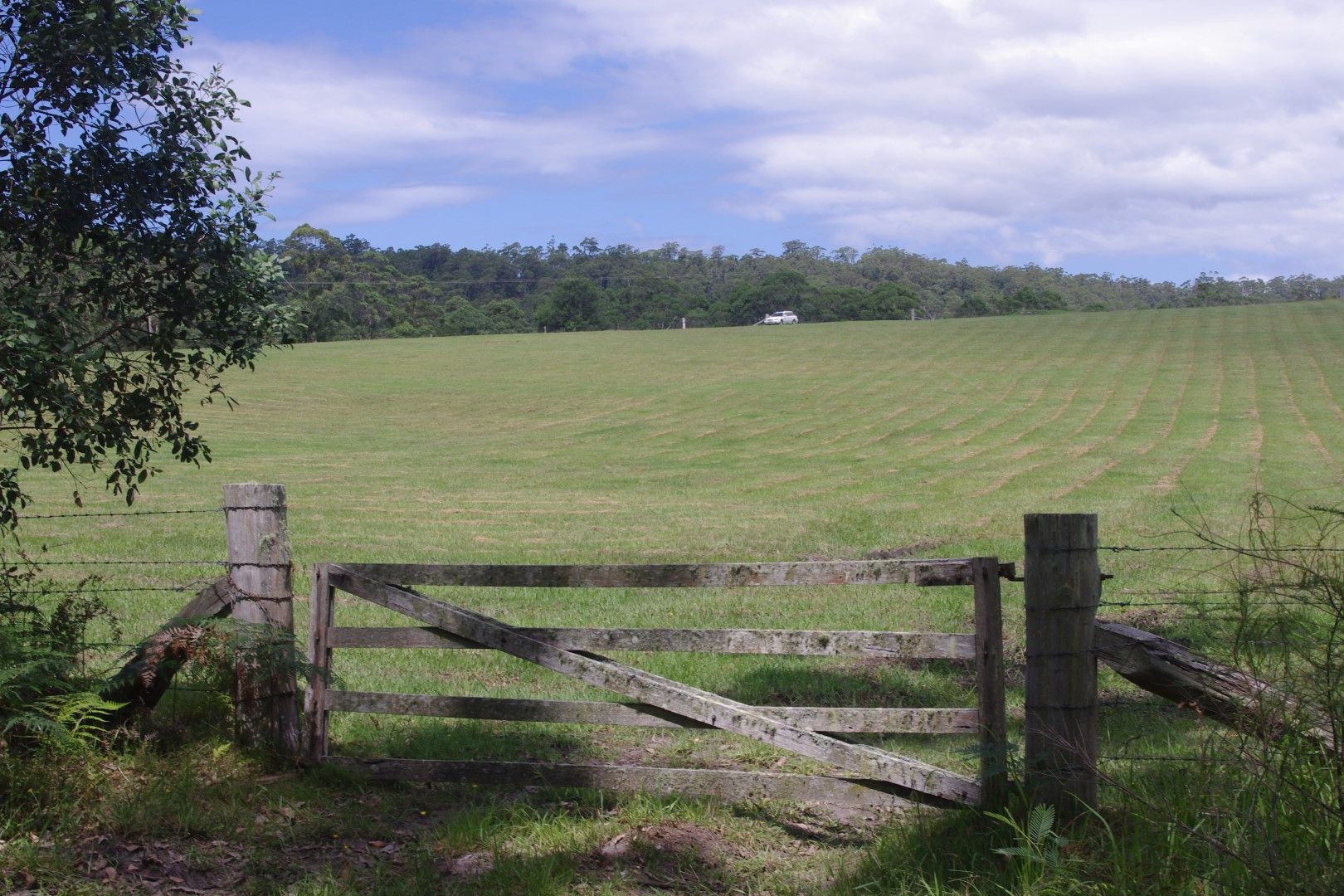 Sold 450 Lemon Tree Creek Road, Lake Tabourie NSW 2539 on 01 Apr 2017