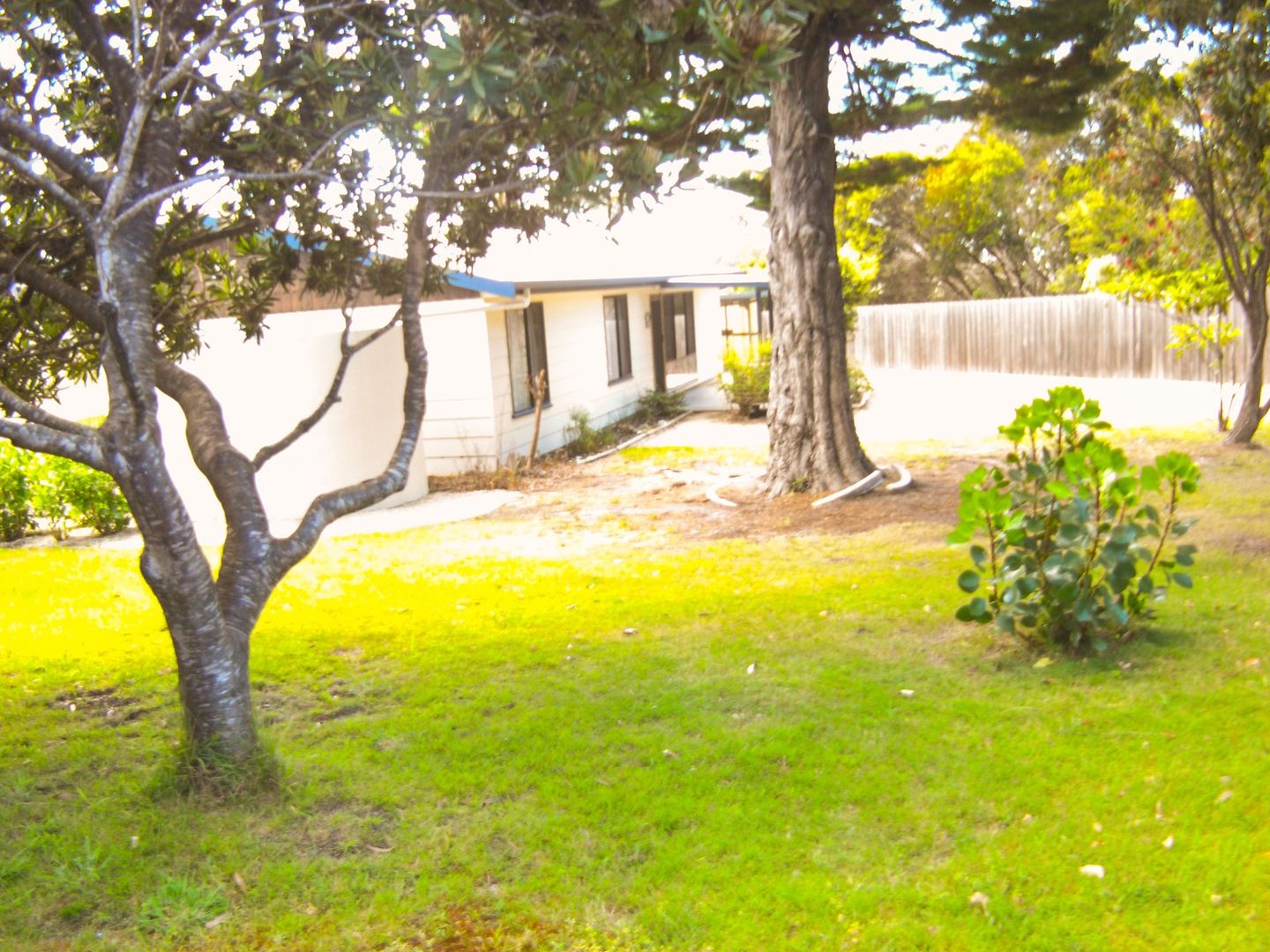 169 Main Road, Binalong Bay TAS 7216, Image 2