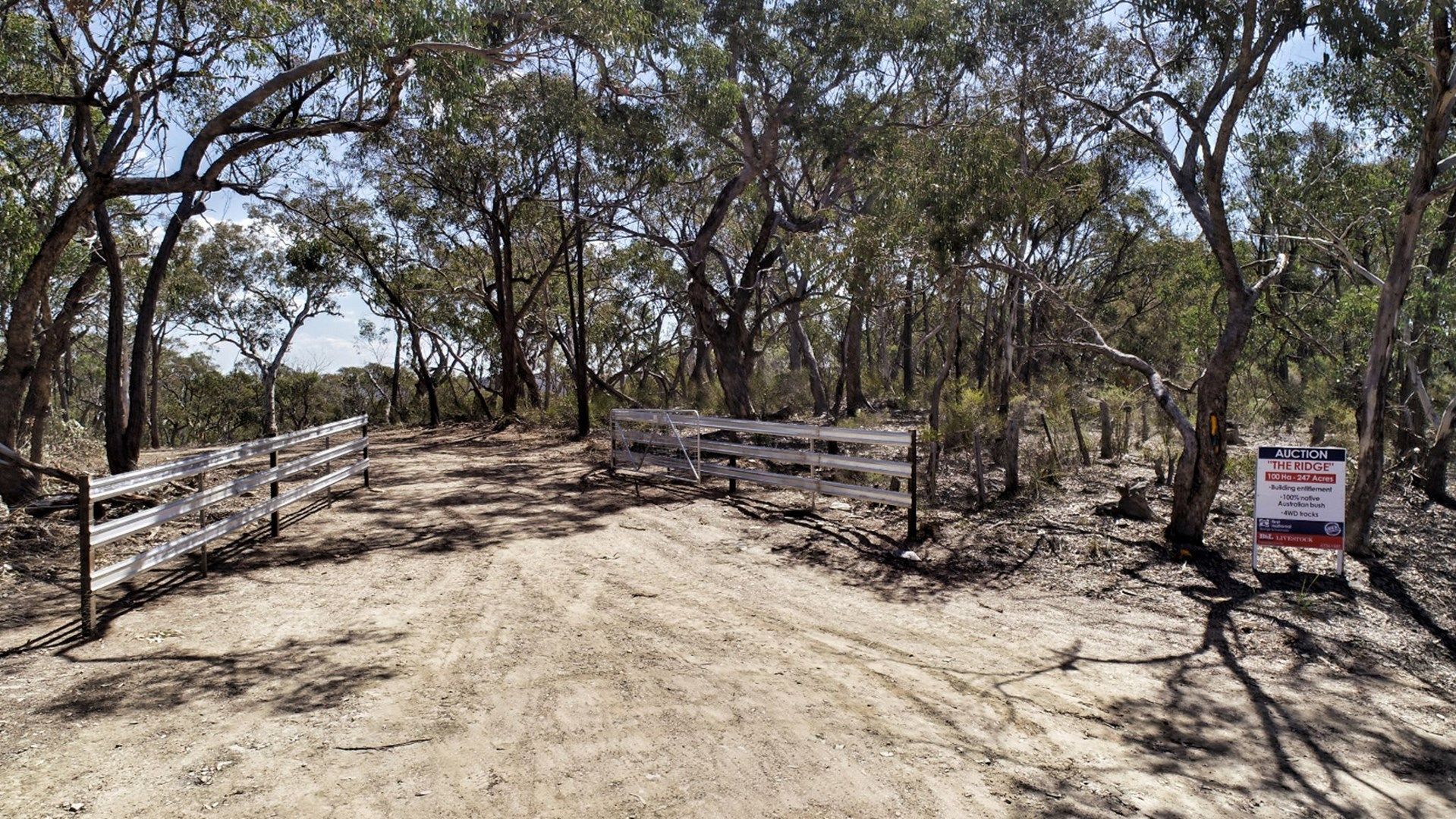 Lot 91, Part 1189 Box Ridge Road, Turondale NSW 2795, Image 0