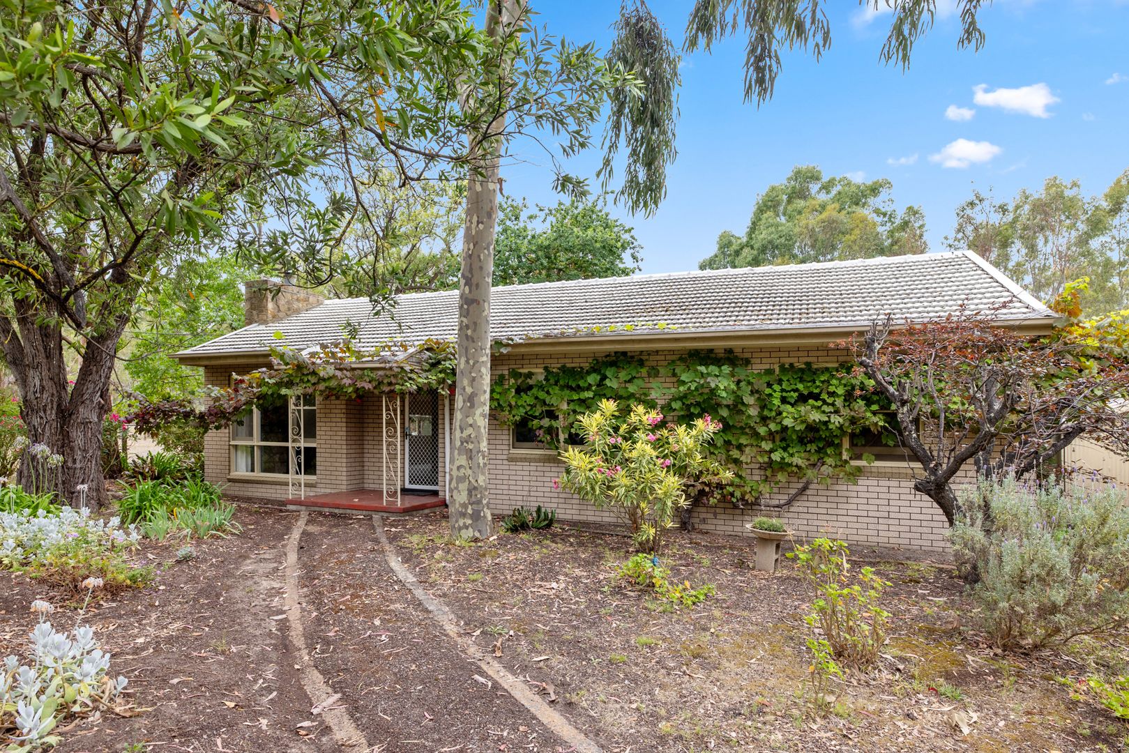 220 Blewitt Springs Road, McLaren Flat SA 5171, Image 1