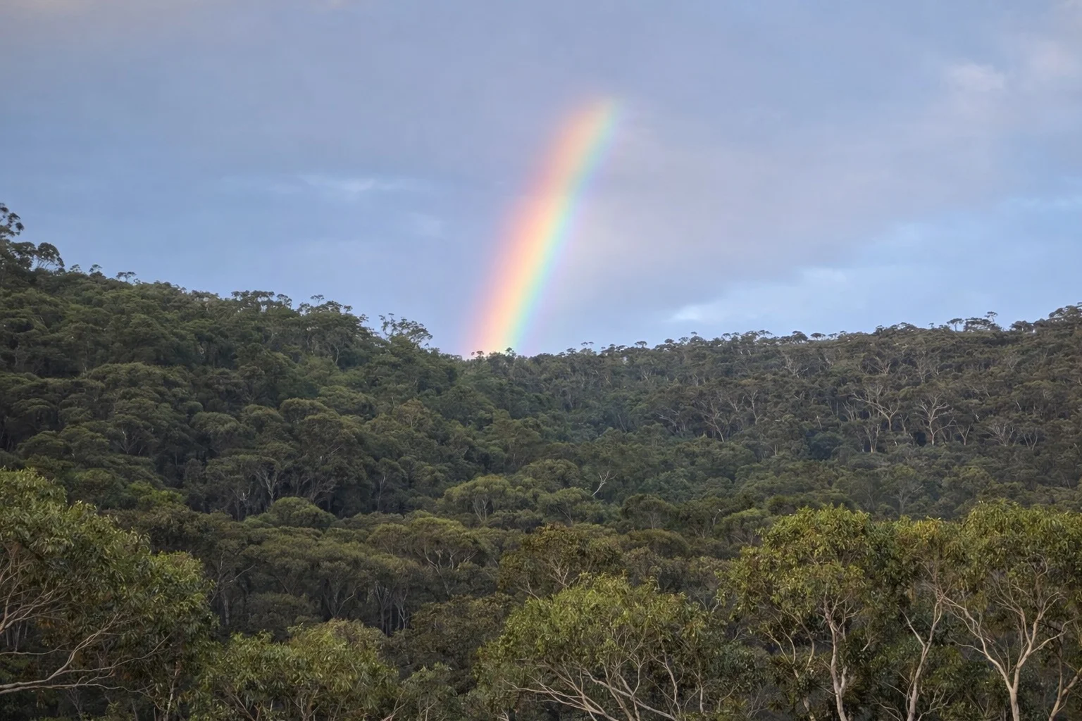 Image 32