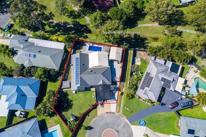 Picture of 4 Carabeen Court, ORMEAU QLD 4208