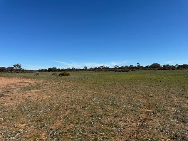 Image 9