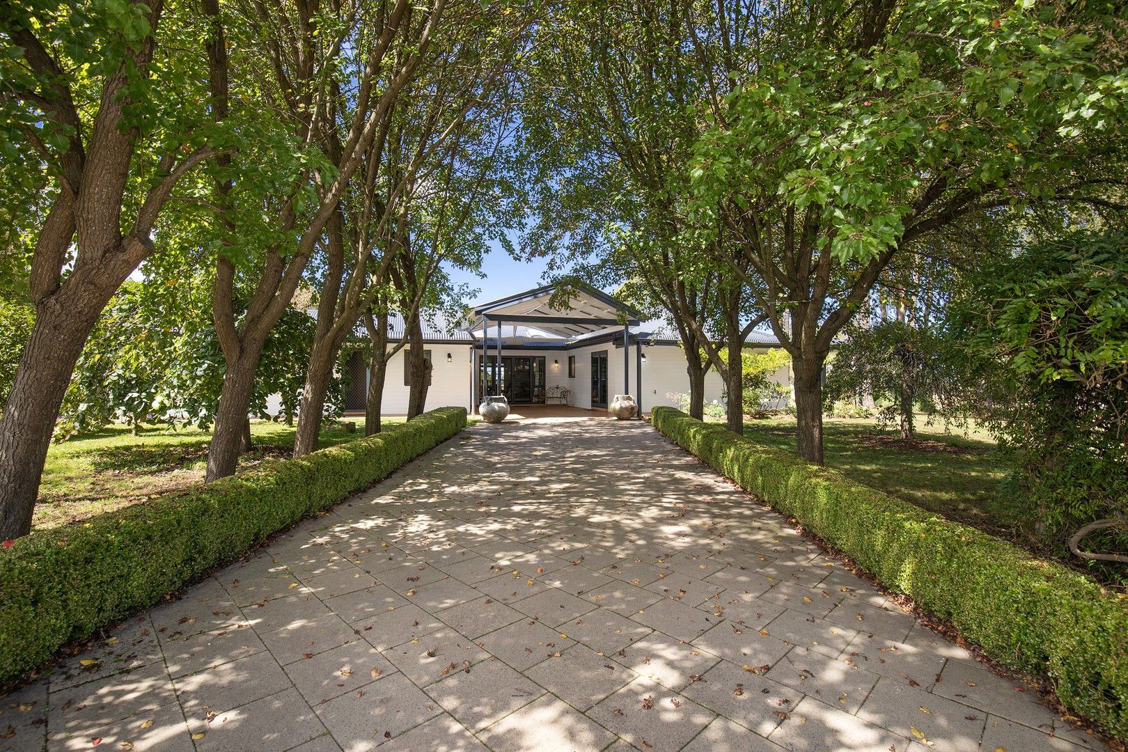 443 Toms Gully Road, Black Mountain NSW 2365, Image 0