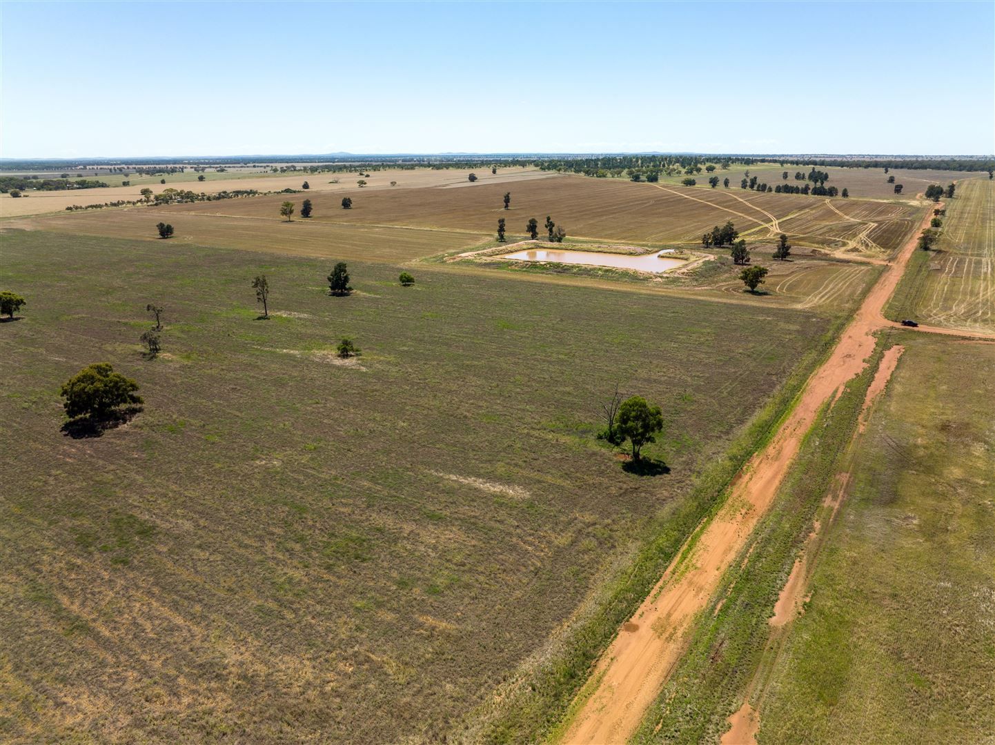 PT GOODENOUGH 716 Acres, Ungarie NSW 2669, Image 0