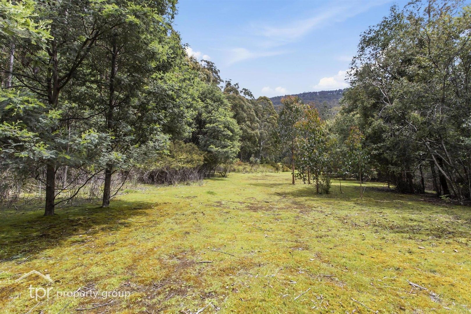 Lot 1 Pelverata Road, Pelverata TAS 7150, Image 0