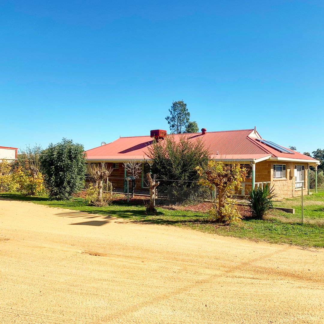 Cowra NSW 2794 4 beds house for Rent, 450.00 per week 14143016