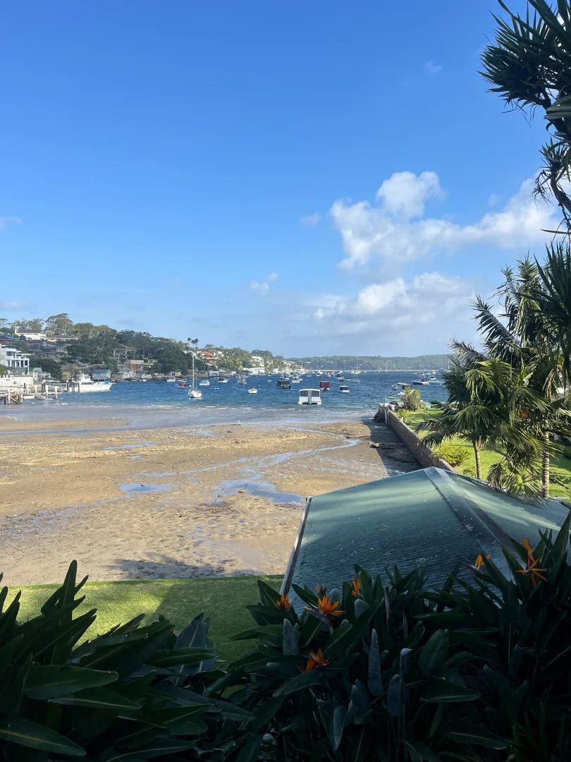 Image 15