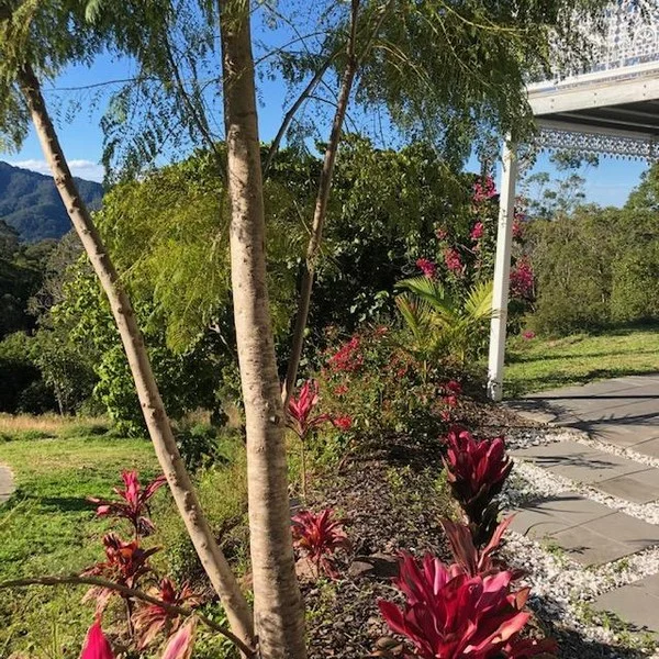 Additional image 7 of Main Arm NSW 2482