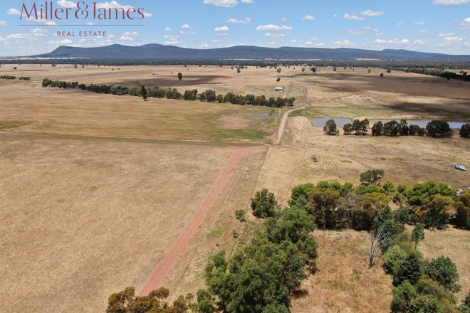 Picture of 'Glencoe', 529 Napiers Road, PINEY RANGE NSW 2810