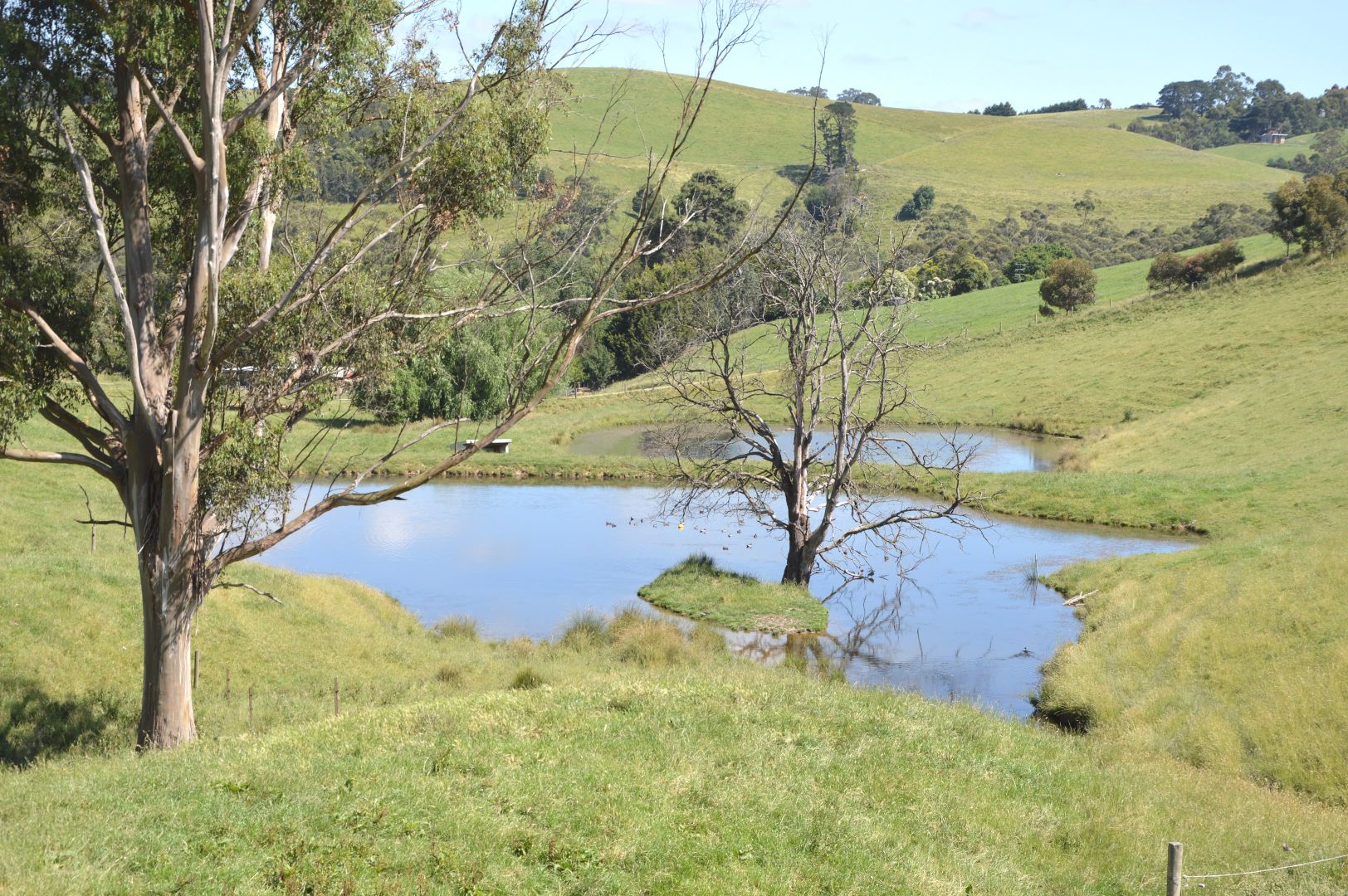 00 Loch-Poowong Road, Poowong VIC 3988, Image 1