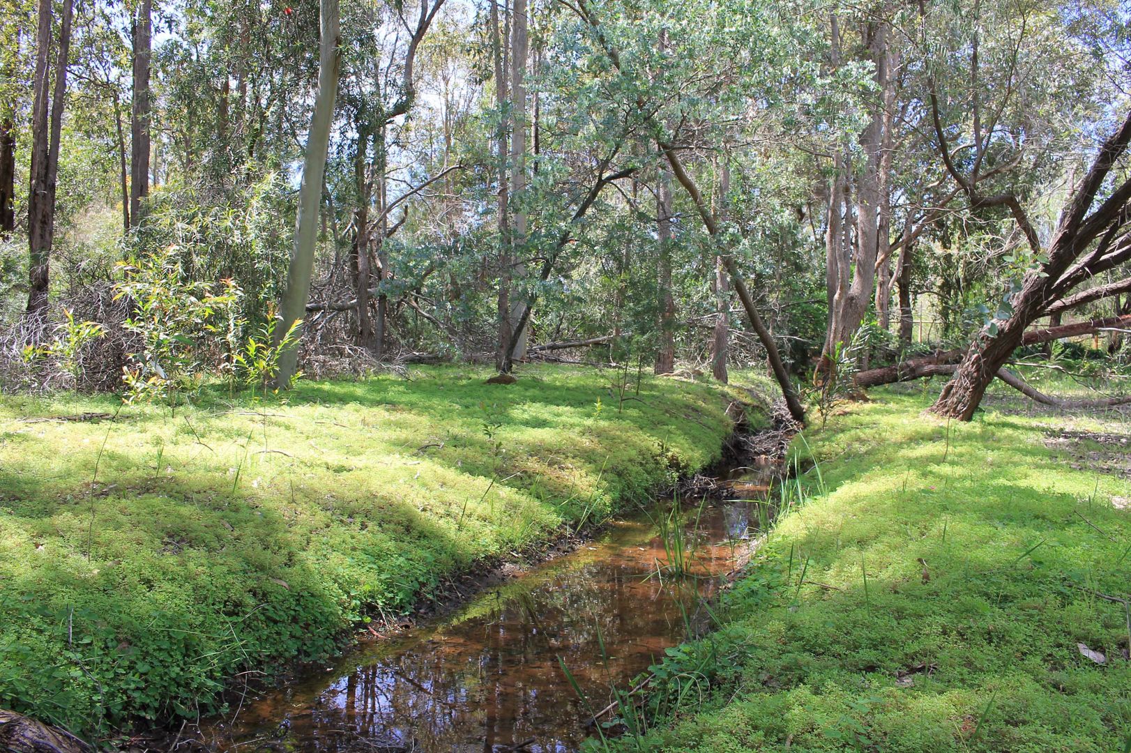 Mahogany Creek WA 6072, Image 1