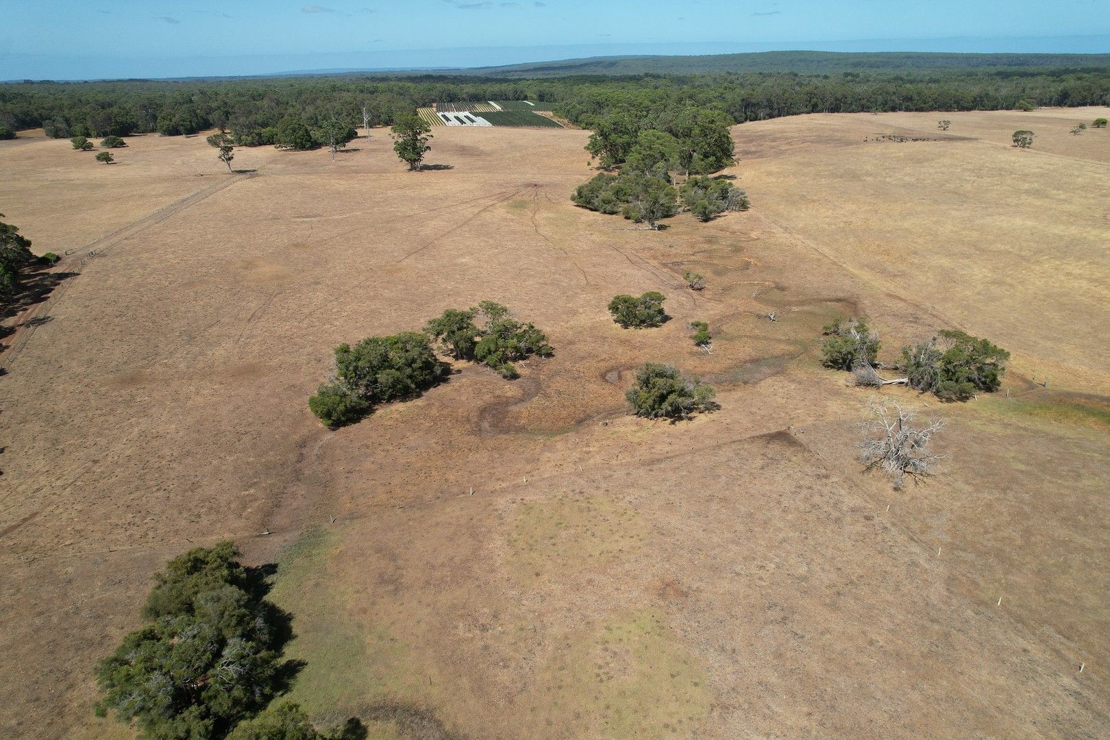 131 Forest Grove Road, Forest Grove WA 6286 House for Sale Domain