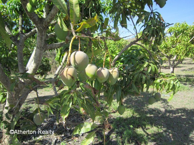 Mareeba QLD 4880, Image 2