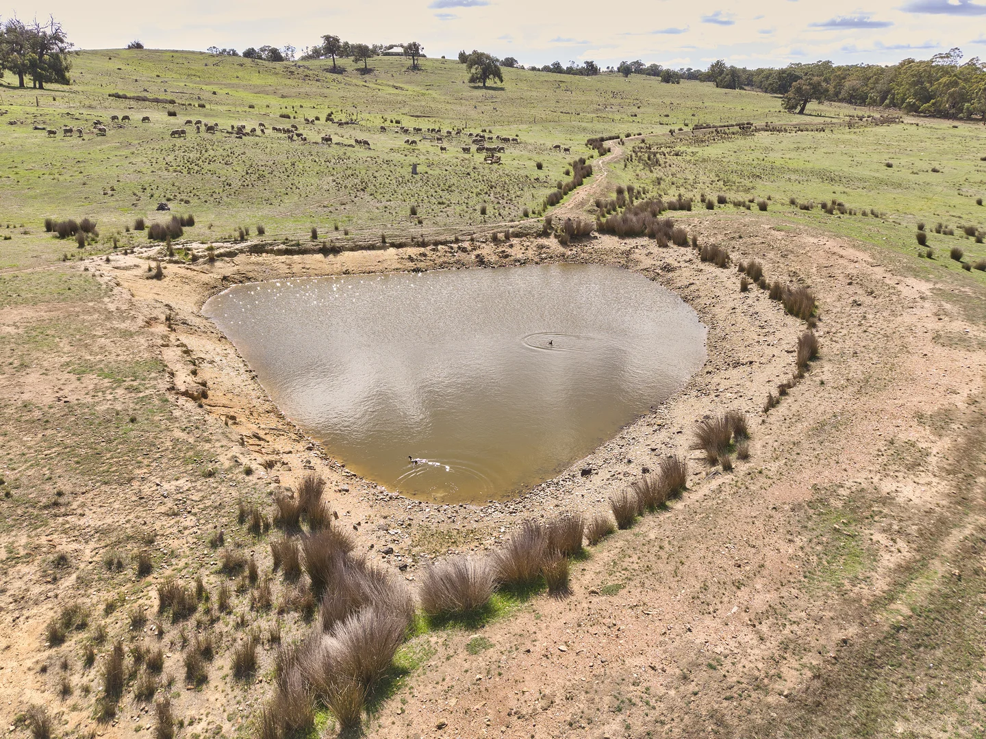 Additional image 3 of 565 Dairy Flat Road, Heathcote VIC 3523