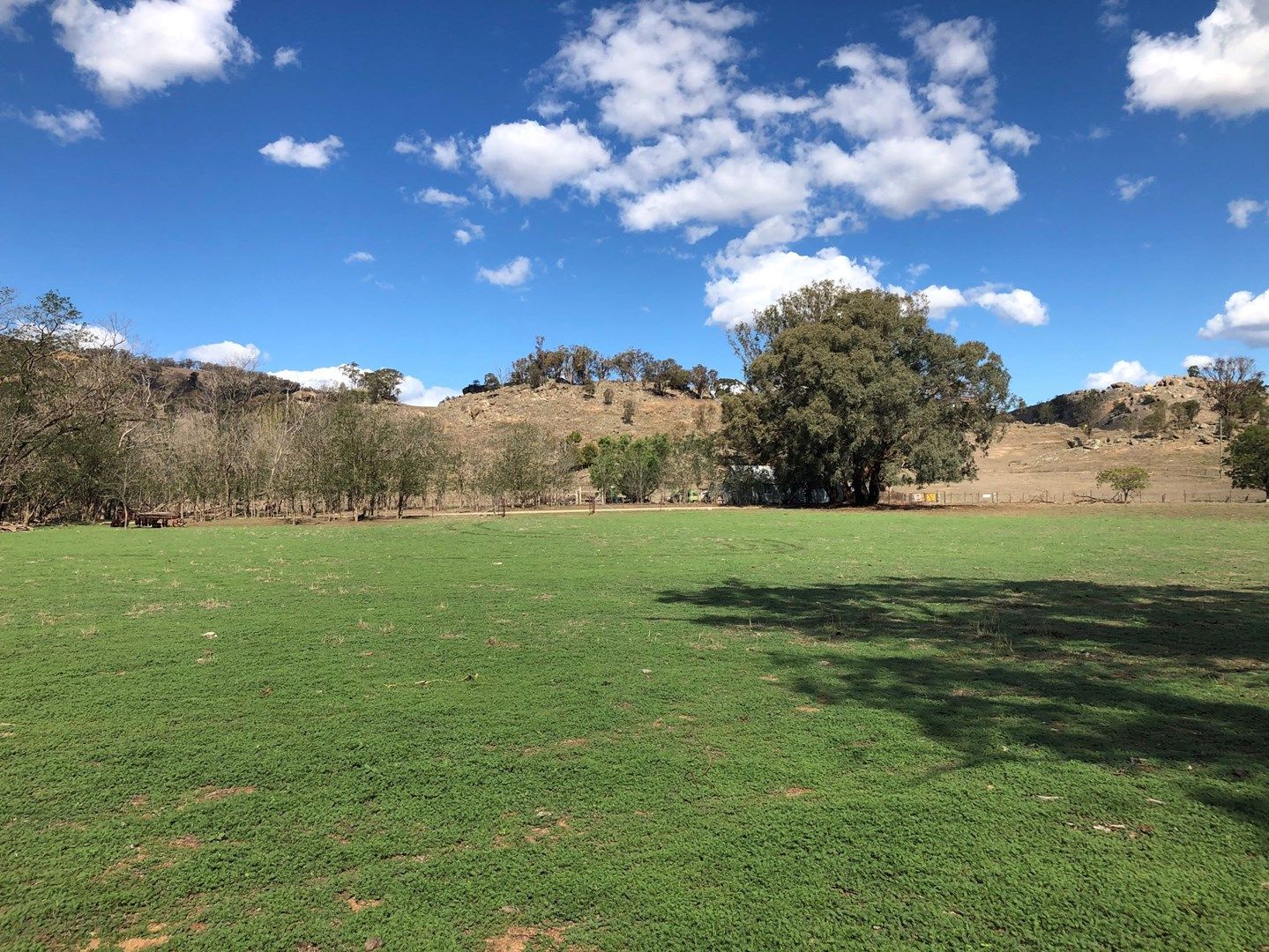 30.68ac Springvale Road, Wyangala NSW 2808, Image 0