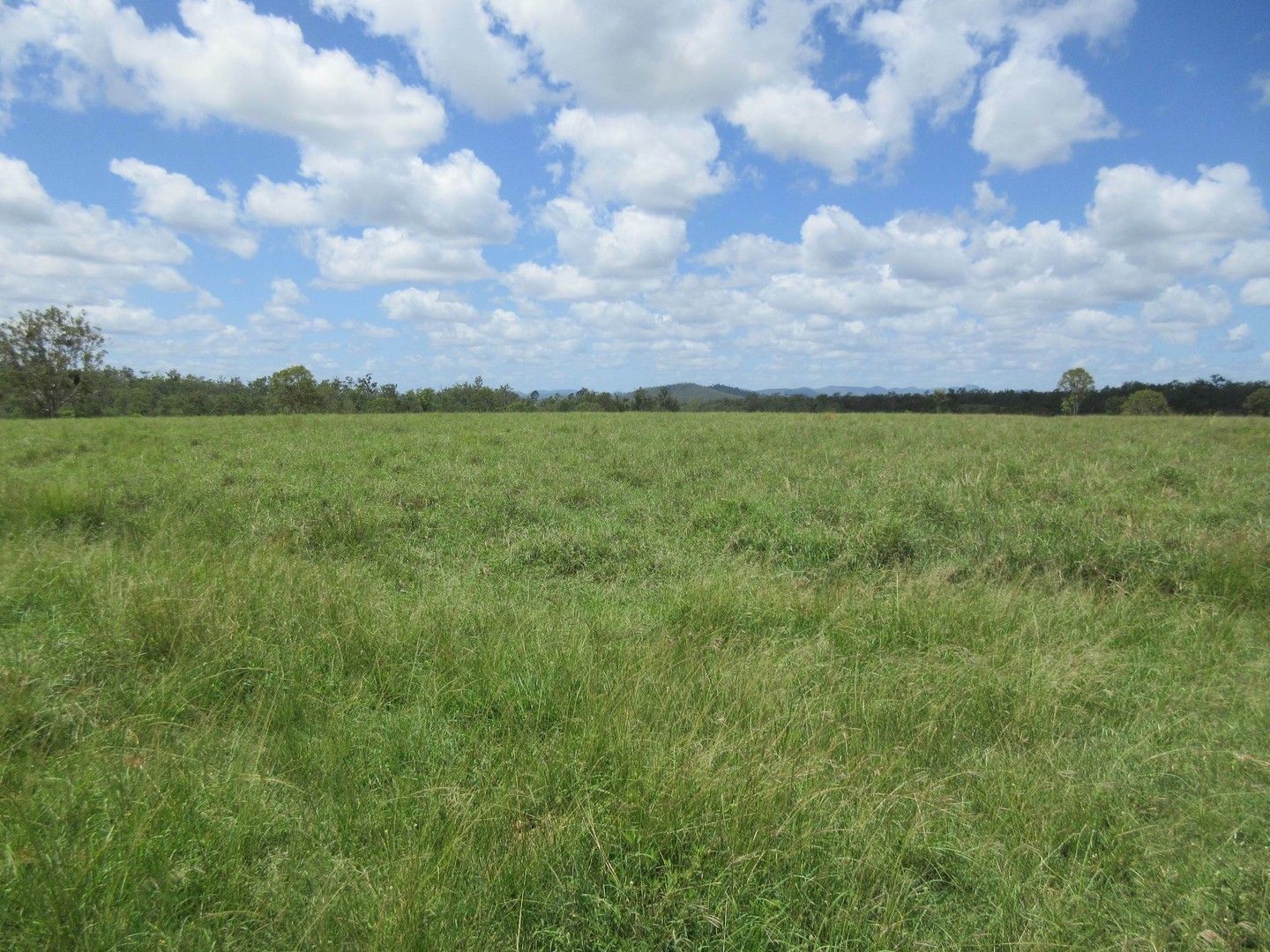 4 bedrooms Rural in  TAKILBERAN QLD, 4671