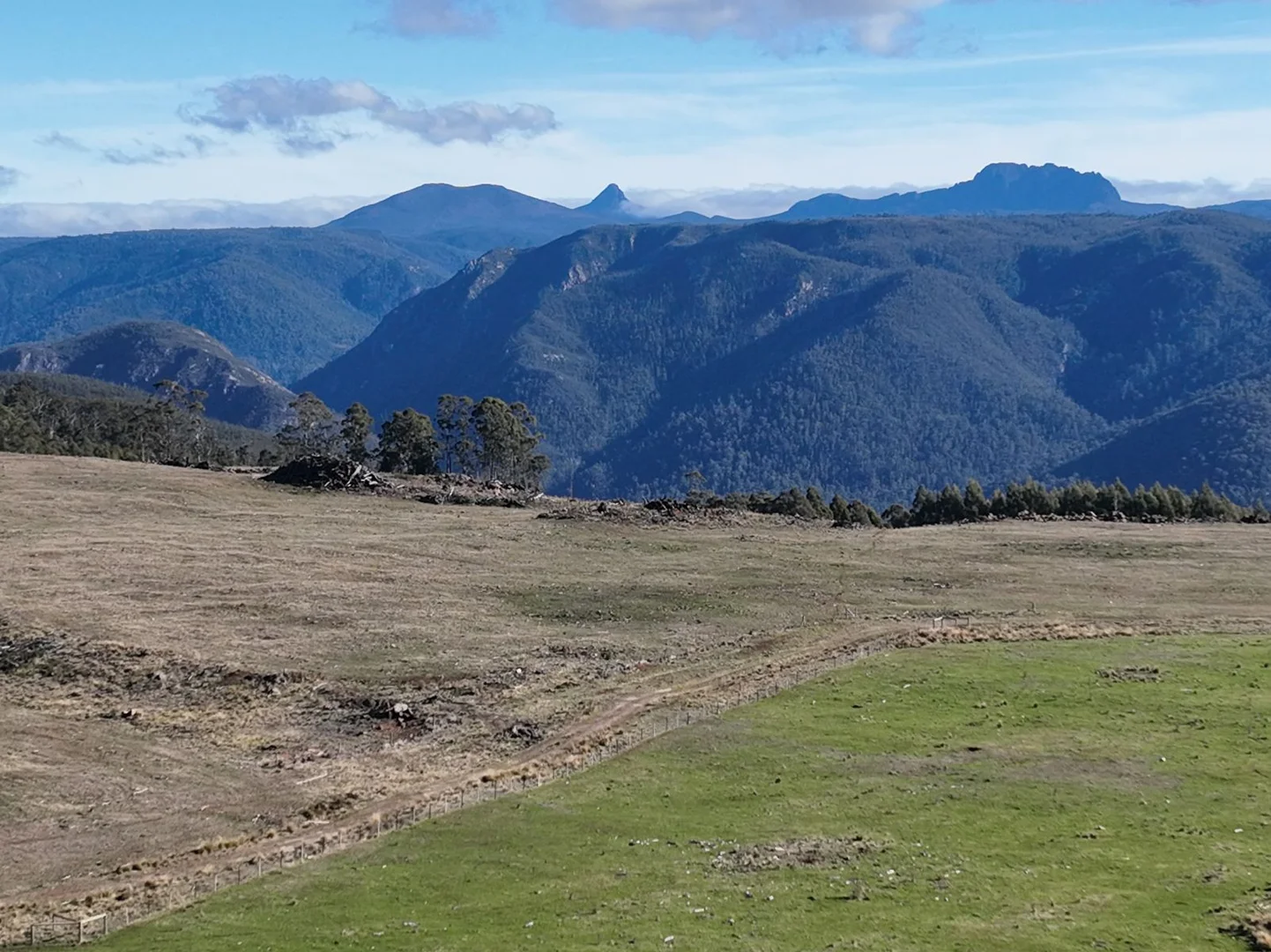 Image 15