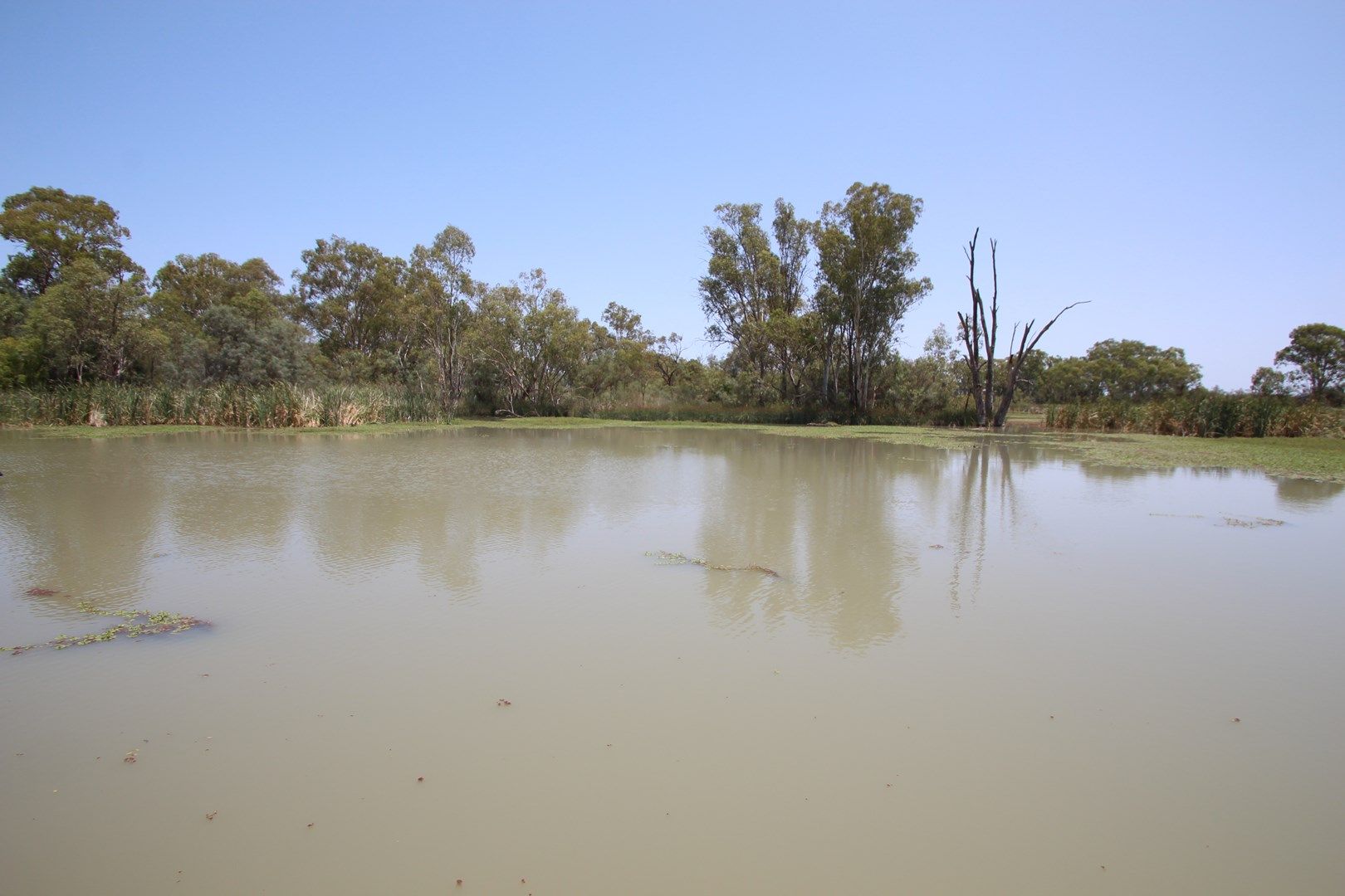 Sec 48 Causeway Road, Paringa SA 5340, Image 0