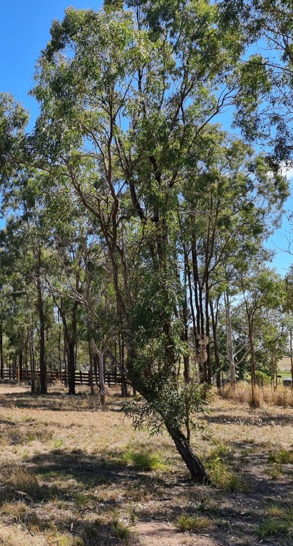 10 Sandalwood Drive, Brightview QLD 4311 Domain