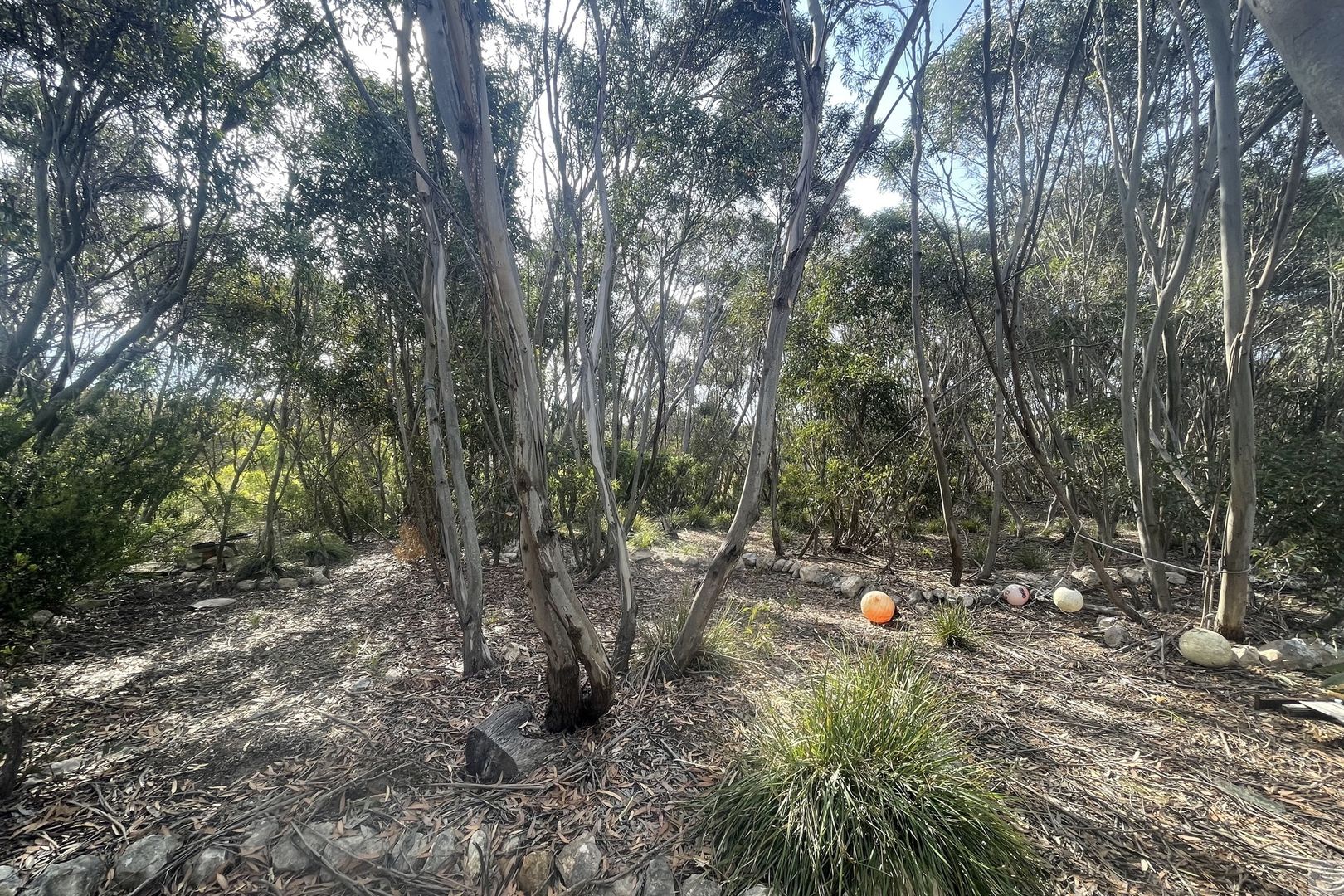 Lot 18 Mouth Flat Road, Willson River SA 5222, Image 2