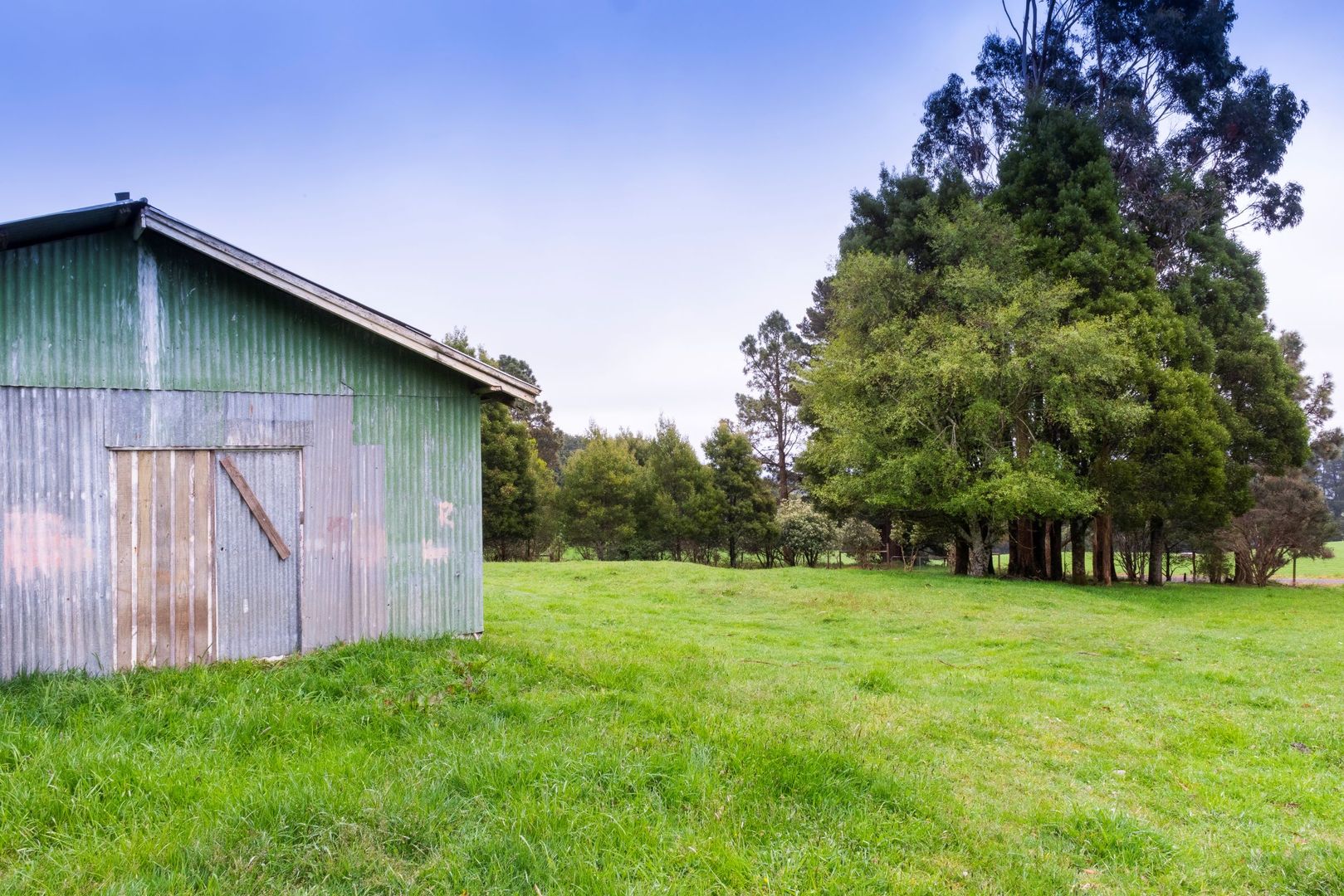 10 Beech Forest-Lavers Hill Road, Beech Forest VIC 3237, Image 1