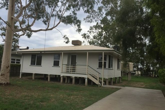 Picture of 12 Cowildi Street, DIRRANBANDI QLD 4486