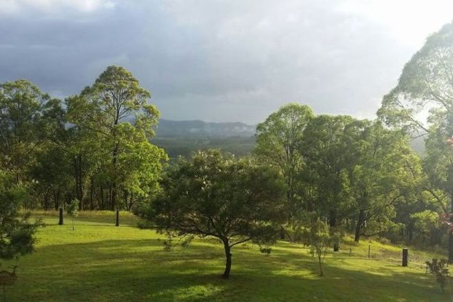 Picture of 970 Wang Wuak Road, WANG WAUK NSW 2423