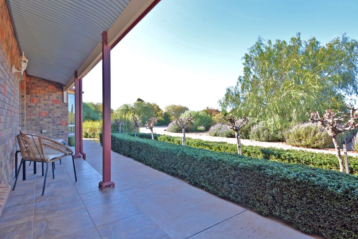 11 Coolibah Court, Whyalla Jenkins SA 5609, Image 2