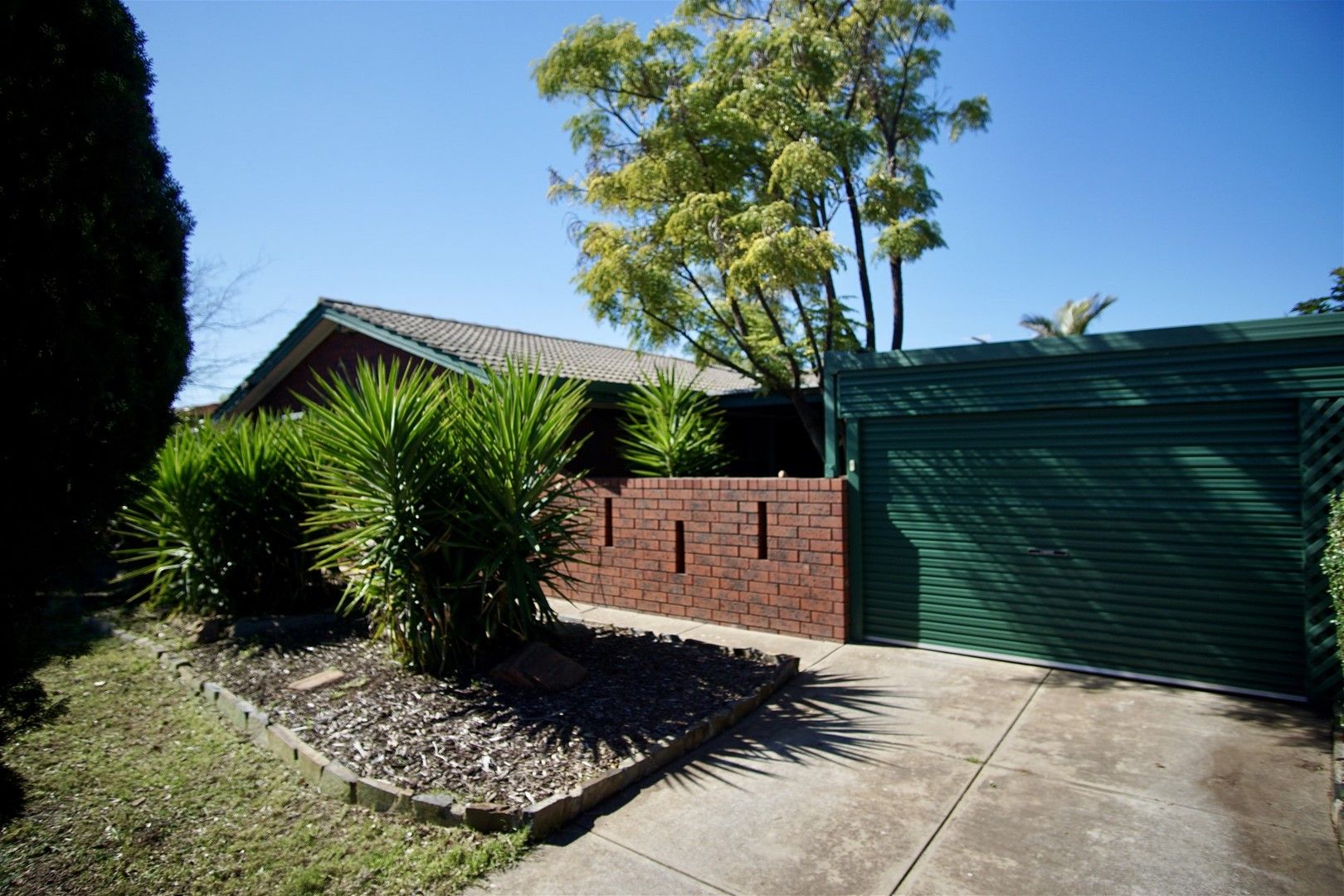81 Wright Street, Renown Park SA 5008 House For Rent Domain