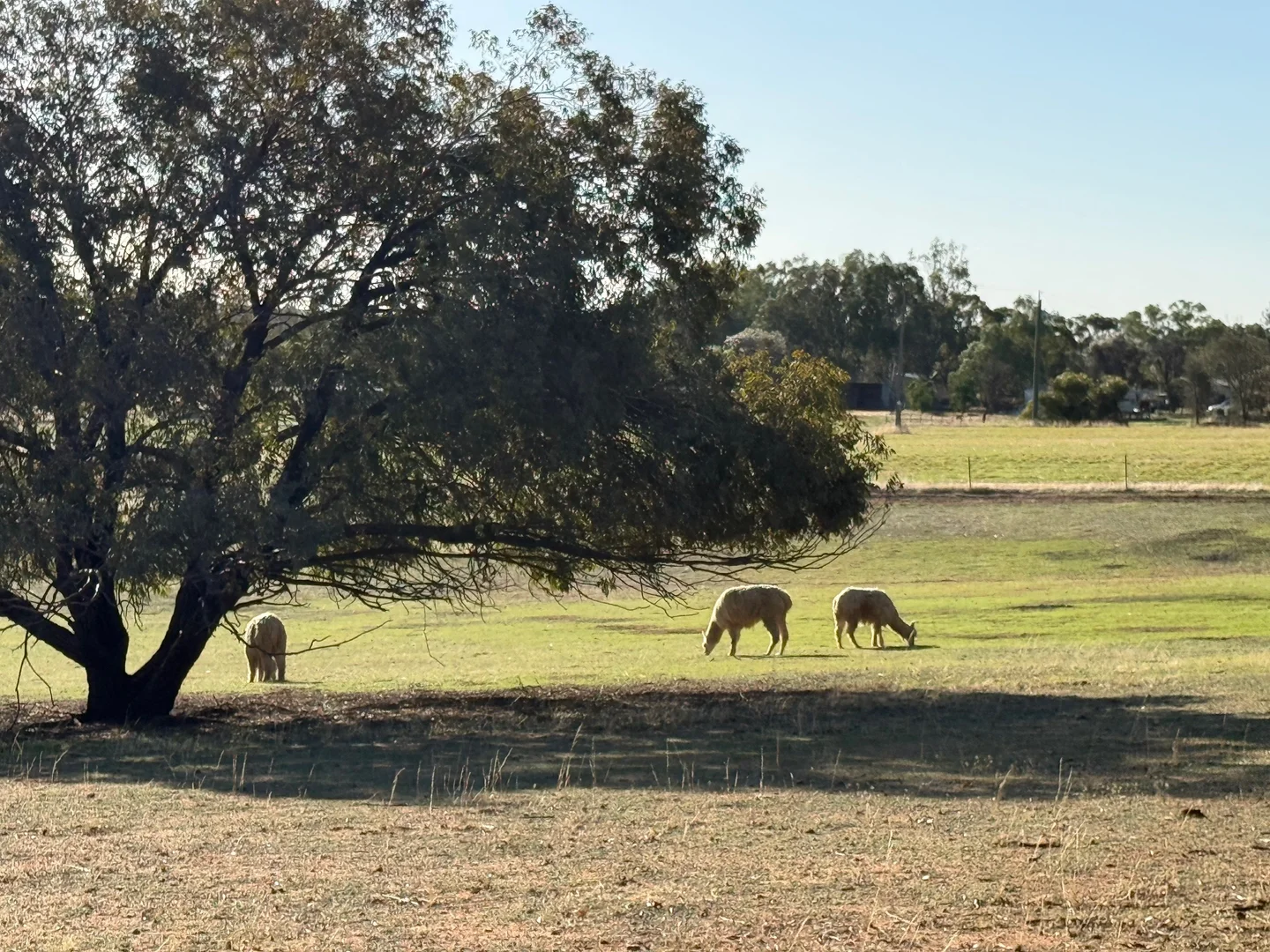 Additional image 34 of 1827 Top Beverley-York Road, York WA 6302