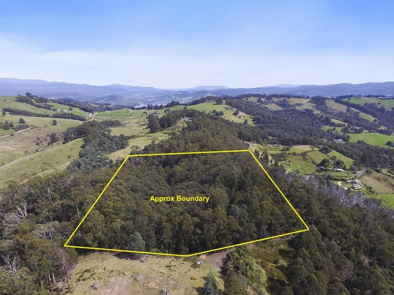 Lot 1 Hollands Road, Cygnet TAS 7112, Image 2